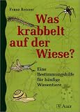 Was krabbelt auf der Wiese?