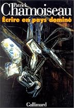 Ecrire en pays domine (French Edition)