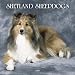 Shetland Sheepdogs 2006 Calendar