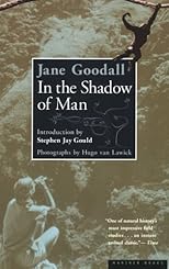 In the Shadow of Man