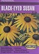 Perennial Black-Eyed Susan Seeds