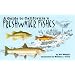 A Guide to California's Freshwater Fishes
