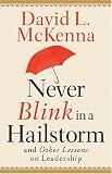 Never Blink In A Hailstorm And Other Lessons On Leadership
