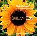 BrilliantDay: 7 Quick Solutions to Turn Your Day Around