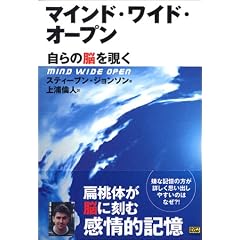 �}�C���h�E���C�h�E�I�[�v���\����̔]��`��