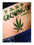 Growing Op