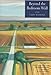 Beyond the Bedroom Wall: A Family Album (Graywolf Rediscovery Series)