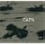 Robert Capa: The Definitive Collection