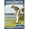 David leadbetter the short game dvd