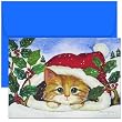 Christmas Kitten Christmas Cards -