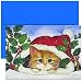 Christmas Kitten Christmas Cards -