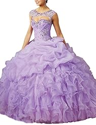 Sweetheart Sleeveless  Organza  Vintage  Beaded Lace-Up Sequined  Ball Gown Prom Dress/Quinceanera Dress/Party Dress  with a Brush/Sweep Train  With Rhinestones and Ruffles