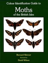 Colour Identification Guide to Moths of the British Isles (Macrolepidoptera)