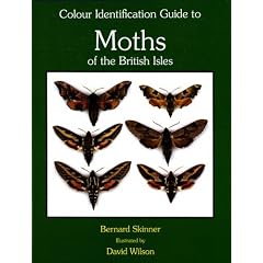 Colour Identification Guide to Moths of the British Isles: Macrolepidoptera