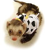 Ferret�@�A�b�v���p�[�J�[�E���[���[S