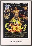 Blood Of The Dragon 16x9 Widescreen TV.