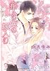 箱入り姫の嫁入り (ガッシュ文庫)