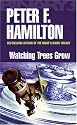 Watching Trees Grow: Tendeleo's Story