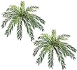 TWO 48" (diameter) Cycas Palm Artificial Silk Plants