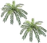 TWO 48" (diameter) Cycas Palm Artificial Silk Plants