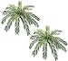TWO 48" (diameter) Cycas Palm Artificial Silk Plants