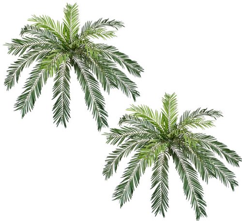 TWO 48″ (diameter) Cycas Palm Artificial Silk Plants