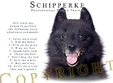 Schipperke Human Trainer Mouse Pad Dog Mousepad