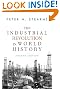 Industrial Revolution in World History (4th edition)