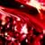 �������ʎ��y���񐶎Y����B�z(DVD�t)