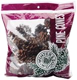 Natural Red Pine Cones 7 Oz.