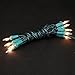 Novelty Lights 10 Light Clear Christmas Craft Mini Light Set, Non-Connectable, Green Wire, 4' Long