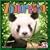 Zooloretto Board Game