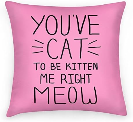Nihila You've Cat to be Kitten Me Right Meow 18 x 18 Inch Decorative Throw Pillow