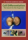 Cell Differentiation: The Search for the Organizer
