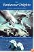 The Bottlenose Dolphin: Biology and Conservation