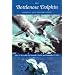 The Bottlenose Dolphin: Biology and Conservation