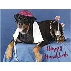 Pet Star Hanukkah Cards - Rottweiler with Dreidel by  Pet Star Photography