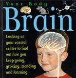 Brain (Your Body)