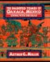 The Painted Tombs of Oaxaca, Mexico: Living with the Dead (Res Monographs in Anthropology and Aesthetics)