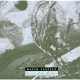 Secrets of the Beehive ~ David Sylvian