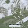 Bild des Albums von David Sylvian