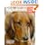Dachshund (Complete Pet Owner's Manual)