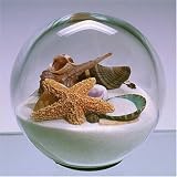 Sand & Shell Sandglobe Paperweight 4-inch White Sand