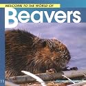 Welcome to the World of Beavers