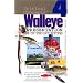 Critical Concepts 4: State-of-the-Art Walleye Presentation (Critical Concepts (In-Fisherman))