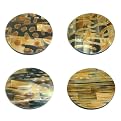 Horn Coasters Set of 12