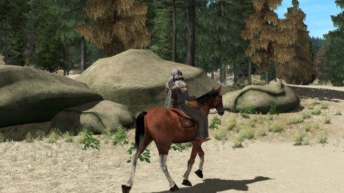 Two Worlds Collector's Edition image