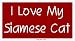   - I Love My Siamese Cat Bumper Sticker