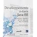 D�veloppement n-tiers avec Java EE (Architectures, GlassFish, JSF, JPA, JWS, EJB, JMS, SOAP, REST)