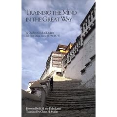 Training the Mind in the Great Way